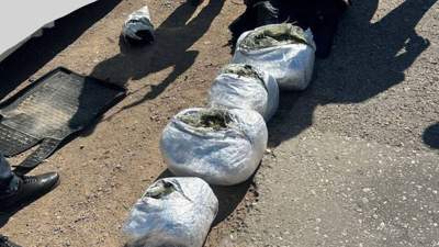 Крупную партию наркотиков в машине вез житель Улытауской области 