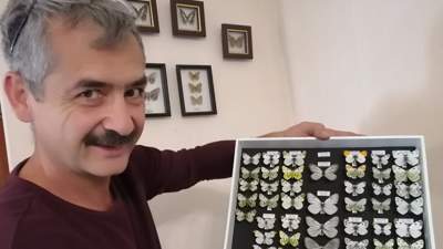 энтомология, Александр Белоусов, коллекция бабочек, лепидоптерология, Талдыкорган, Казахстан