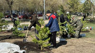 Около 300 деревьев высадили в Петропавловске во время субботника