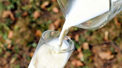 Немецкие специалисты обучат казахстанских фермеров производить молоко 