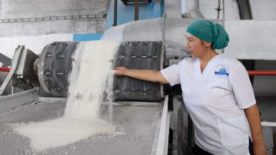Казахстан сможет обеспечить себя сахаром на 49%