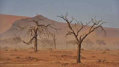ЮНИСЕФ: Засуха стала причиной 43 тыс. смертей в Сомали в 2022 году, фото - Новости Zakon.kz от 23.03.2023 15:05