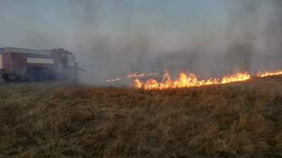 В ЗКО не хватает техники для тушения лесных пожаров 