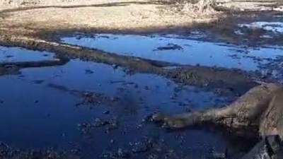 Экологи требуют очистить почву от нефтеотходов в Мангистауской области 