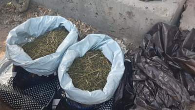 Более 7 кг марихуаны изъяли полицейские у жителя Шымкента