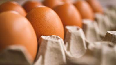 АЗРК и правительство выявили нарушения при формировании цен на яйца, фото - Новости Zakon.kz от 23.10.2023 16:07