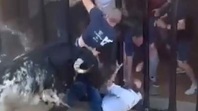Мужчину во время фестиваля насмерть забодал бык в Испании