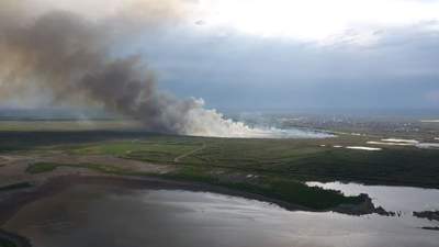 Пожар на озере Талдыколь в Нур-Султане
